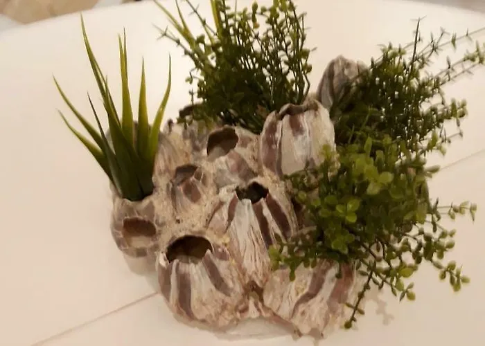 Casa Rebecca 14 * Monopoli